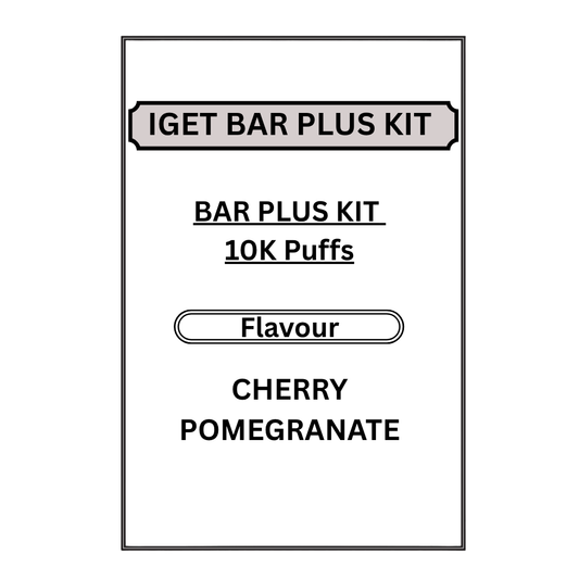 IGET 3.0 BAR PLUS KITS 10K PUFFS